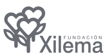 Fundación Xilema