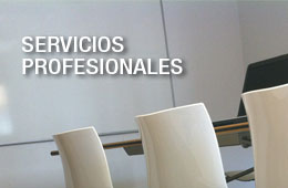 Servicios de consultoría, formación, orientación y terapia.