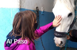 Programa de psicoterapia asistida con caballos para menores en régimen de Acogimiento Residencial Básico