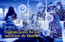 Proyecto de digitalización de los servicios de Xilema